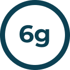 6g Icon